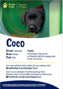 Guide dogs sponsor a puppy Coco